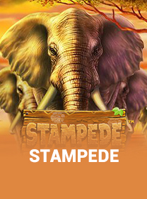 Panduan Bermain Stampede di Android Terlengkap — ikon game